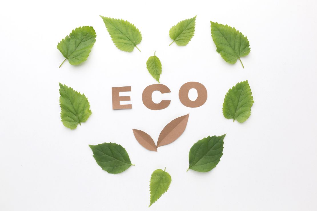 eco-sign-with-leaves-frame